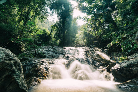 Small beautiful waterfall in the forestの写真素材