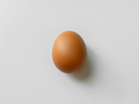 chicken egg isolated on white background.の写真素材