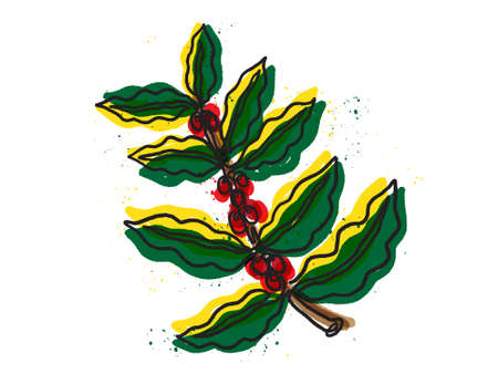 Coffee tree branch continuous line vector drawing. Isolated on a white background.のイラスト素材