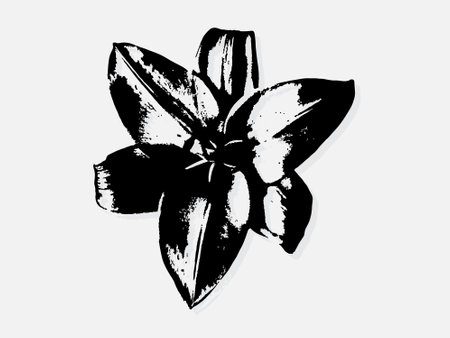 Flower engraving vector illustration. Scratch board style imitation. Black and white hand drawn image. llustrations for poster, background or card.のイラスト素材