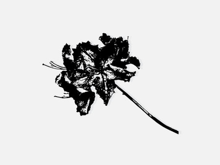 Flower engraving vector illustration. Scratch board style imitation. Black and white hand drawn image. llustrations for poster, background or card.のイラスト素材