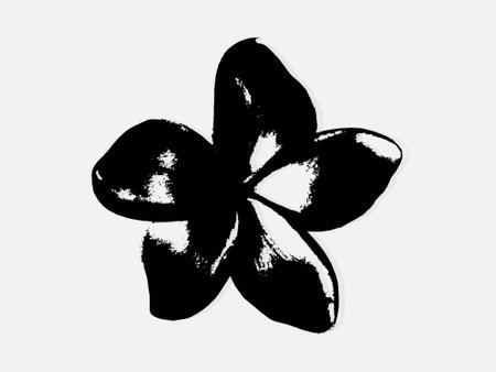 Flower engraving vector illustration. Scratch board style imitation. Black and white hand drawn image. llustrations for poster, background or card.のイラスト素材