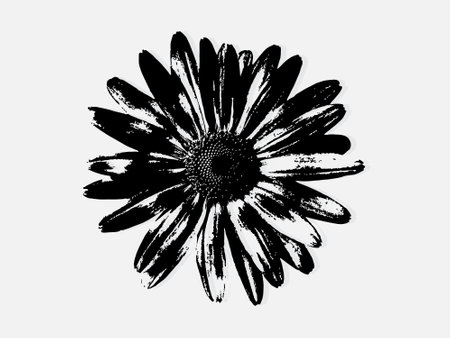 Flower engraving vector illustration. Scratch board style imitation. Black and white hand drawn image. llustrations for poster, background or card.のイラスト素材