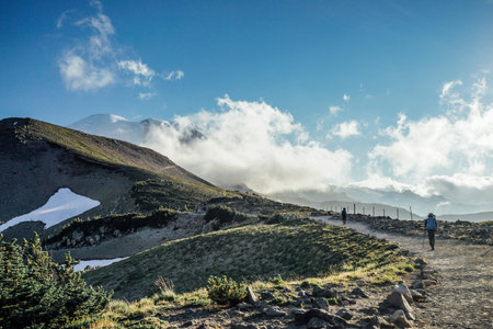 A hiker is hiking in the field at North Burroughs Mountain Trail with Mount Rainier in the background, Washington.の写真素材