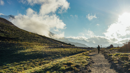 A hiker is hiking in the field at North Burroughs Mountain Trail with Mount Rainier in the background, Washington.の写真素材