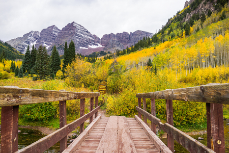 This is the pictures of a bridge crossing to Aspen trees with golden yellow leaves with mountainsのeditorial素材