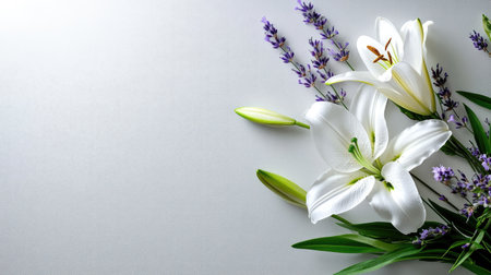 Clean botanical artwork with lily and lavender inside a light gray borderの素材