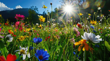 Lush, colorful field of wildflowers swaying under spring sunlight, full of life and beautyの素材