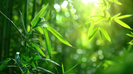 Delicate bamboo foliage glowing in natural light, lush tones creating a calming forest atmosphereの素材