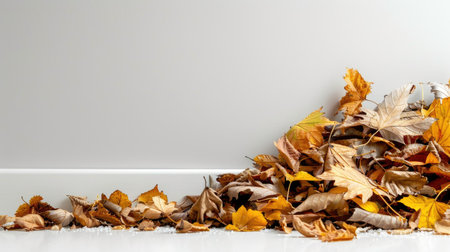 A serene arrangement of colorful autumn leaves rests against a clean white wall, showcasing the beauty of nature and the transitional season of fall.の素材