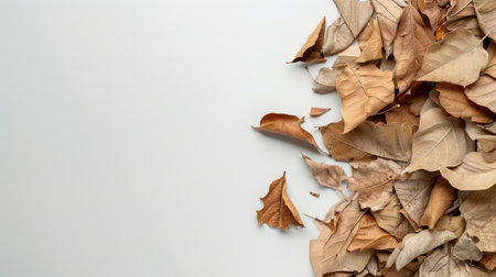 A collection of dry autumn leaves scattered on a light gray background, showcasing the beautiful textures and colors of fall, perfect for seasonal themes.の素材