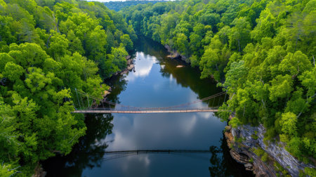 Elevated view of dual bridges--one steel and one rope--spanning a river surrounded by natureの素材