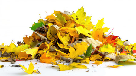A vibrant pile of colorful autumn leaves on a clean white background, showcasing the beauty of seasonal change and nature's rich textures.の素材