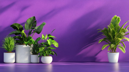 A stunning arrangement of various indoor plants in striking white pots against a vivid purple wall, creating a harmonious blend of nature and contemporary decor.の素材