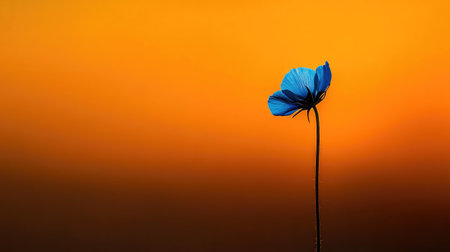 A stunning silhouette of a single blue flower against a vibrant sunset background creates a captivating and serene atmosphere filled with natural beauty.の素材