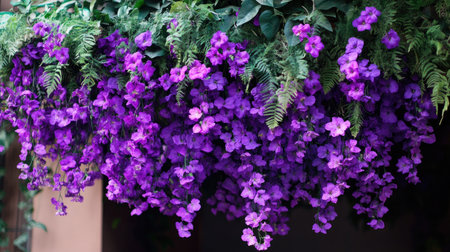 A stunning display of lush purple flowers tumbles elegantly from a hanging planter, complemented by the lively greenery of ferns, capturing serene beauty.の素材
