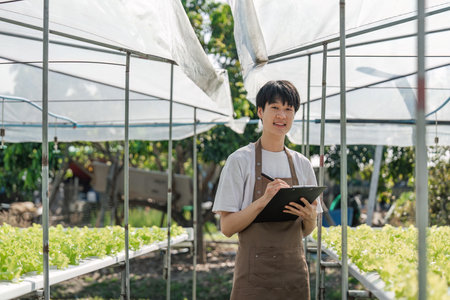 Asian male farmers grow hydroponic vegetables. Farmers farm lettuce for health. Business owner Green...