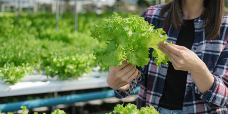 young farmer female smiling and holding mobile smart tablet with hydroponic fresh green vegetables...