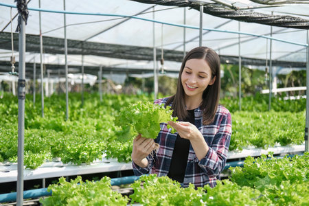 young farmer female smiling and holding mobile smart tablet with hydroponic fresh green vegetables produce in greenhouse garden nursery farm, smart farming, agriculture business conceptの写真素材