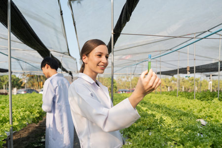 Biologists woman and man examining the water quality and checking bacteria in fertilizer water in greenhouse hydroponic vegetable gardenの写真素材
