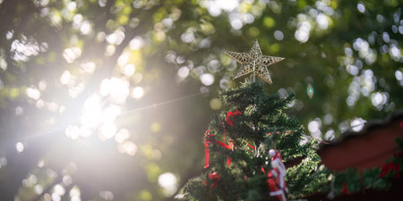 Magical Christmas Morning Star Topped Tree Illuminated by Sunrise