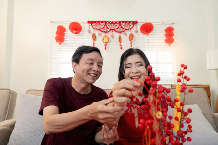 Elderly couple celebrating chinese new year at home joyful moments festive decor cozy atmosphereの写真素材