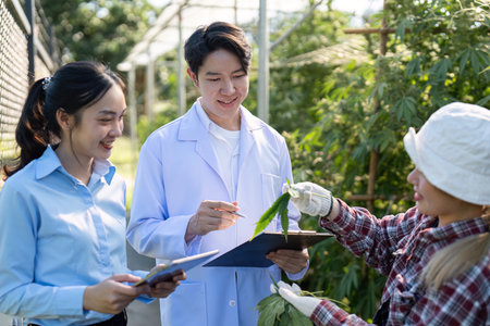 Research on cannabis cultivation student interaction in greenhouse environment science focus...