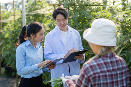 Researching cannabis cultivation techniques greenhouse educational session botanical environment close up view scientific explorationの写真素材