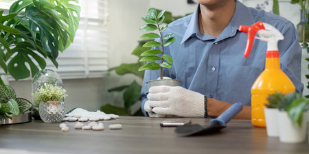 Gardening and Sustainable Living. A person holding a potted plant, promoting eco-friendly gardening...