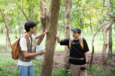 Father and Son Learning Together. Discussing nature during a hike.の写真素材