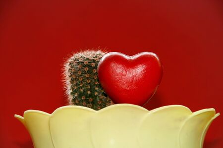 Cactus and decorative heart in a flowerpot against red backgroundの写真素材