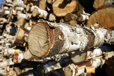 Stack of chopped wood on a wood yard in Upper Silesia, Poland. Birch trees close-up. 