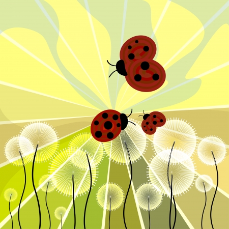 ladybugs abstract flowers dandelion field のイラスト素材