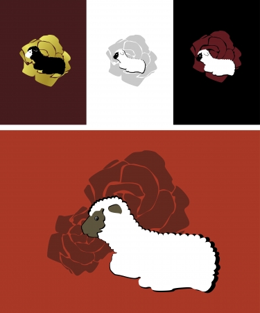 sheep wool rose のイラスト素材