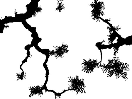 tree branch silhouette black sophomoreのイラスト素材