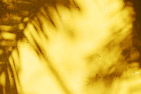 abstract background texture of shadows leaf on yellow concrete wallの写真素材