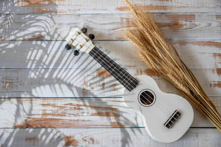 The ukulele and wheat with shadow leaf on white wooden background