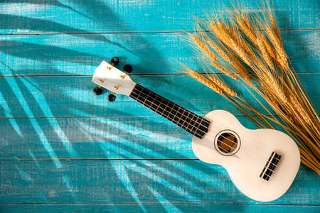 The ukulele and wheat with shadow leaf on green wooden backgroundの写真素材