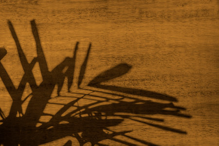 palm leaf shadow on yellow wood wall with copy space