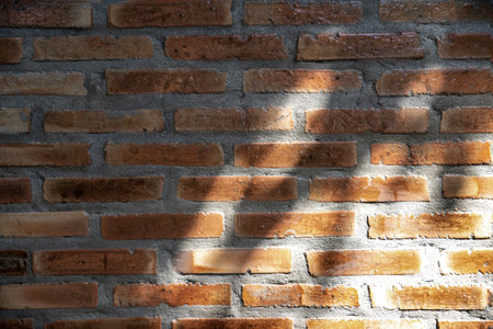 shadow of tree leaf and branch on orange antique brick wall  background. environment conceptの写真素材