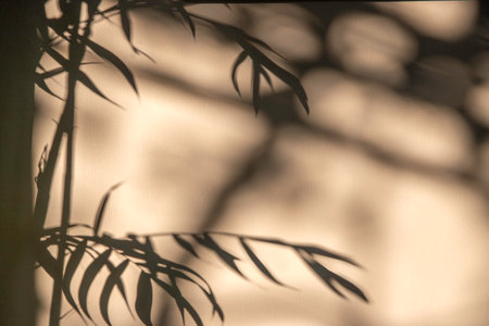 abstract background texture of shadows leaf on yellow concrete wall. environment concept