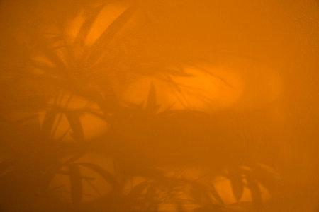 abstract background texture of shadows leaf on yellow concrete wall. background conceptの写真素材