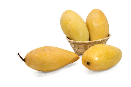 Yellow mango fruit isolated on white background with clipping part