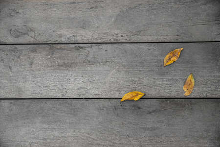 Dry leaves on wood floor background with copy spaceの写真素材