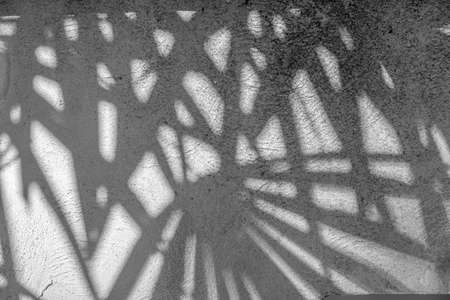 Leaves shadow background. Natural leaves tree branch shadows and sunlight dappled on white concrete...