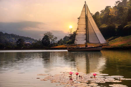 Selective focus of lotus flowers with defocus Sailboats on the background of the sunset
