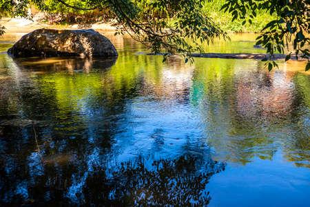 Vivid green and blue color tones reflection in water on an early morning . landscape concept
