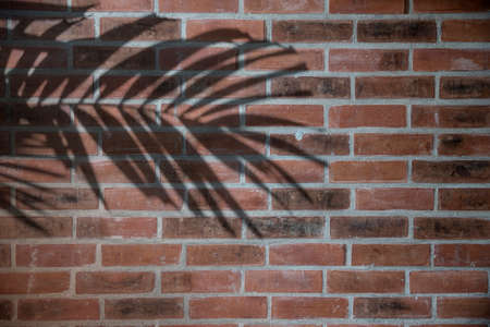 Tropical palm leaves natural shadow overlay on orange brick wall texture background.. image