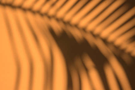 Creative tropical leaf shadow on yellow wall background. Minimal summer concept with palm tree leaf....