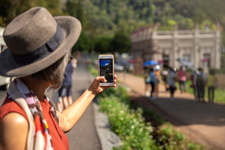 Tourist woman taking photo on her mobilephone on beautiful landscape. travel conceptの写真素材